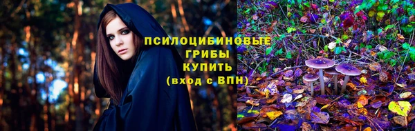 спайс Кулебаки