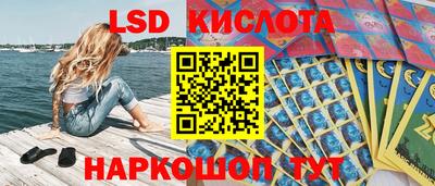 индика Можайск