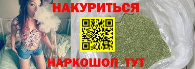 индика Можайск