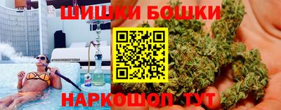 индика Можайск