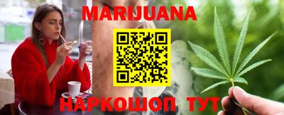 индика Можайск