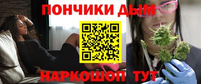 индика Можайск