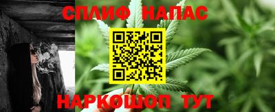 индика Можайск