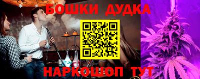индика Можайск