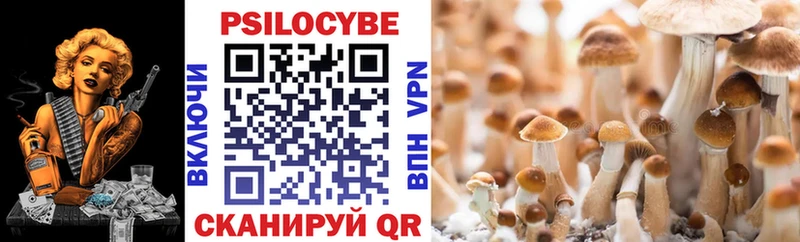 Псилоцибиновые грибы Psilocybine cubensis наркота Красный Сулин