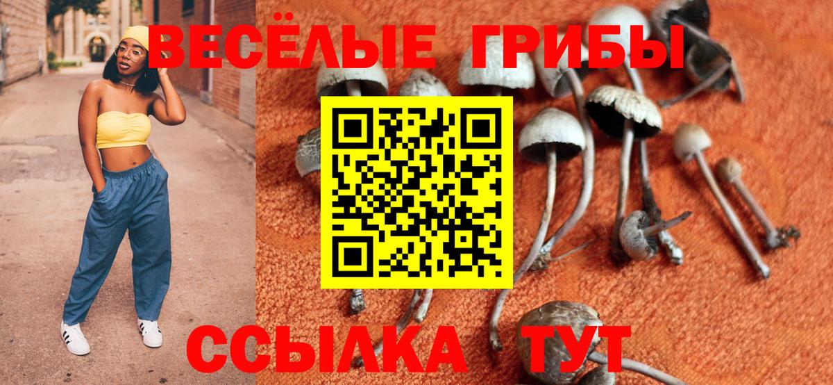 Галлюциногенные грибы Psilocybe Красный Сулин